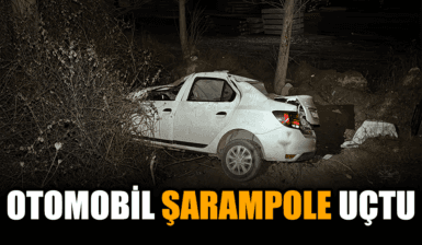 Şarampole devrilen otomobildeki 1'i çocuk 4 kişi yaralandı
