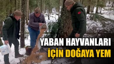 Karabük'te Yaban Hayvanları İçin Doğaya Yem Bırakıldı