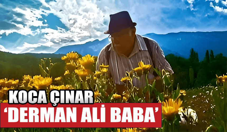 “KOCA ÇINAR DERMAN ALİ BABA”