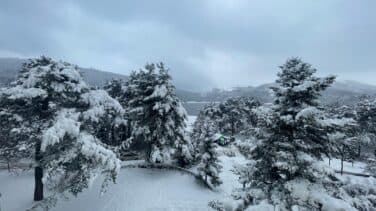 Bolu Dağı ve Abant Gölü Milli Parkı'nda kar yağışı
