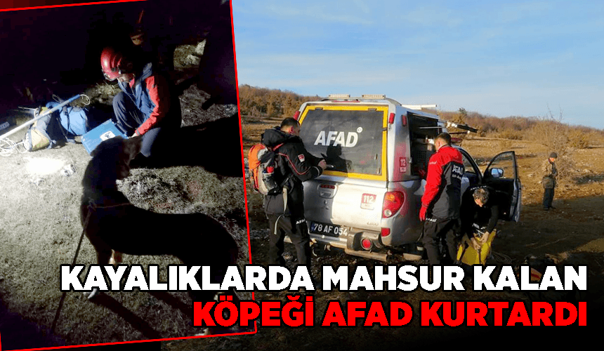 Karabük'te kayalıklarda mahsur kalan köpeği AFAD kurtardı