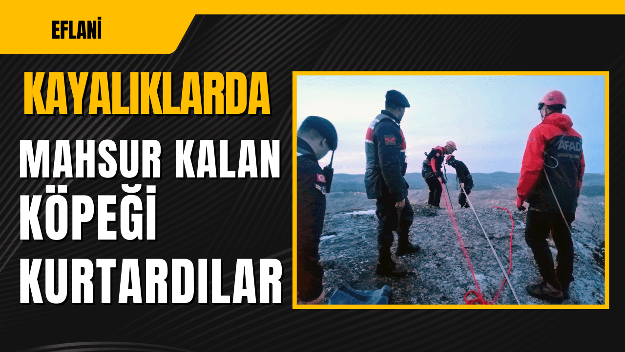Eflani'de Kayalıklarda Mahsur Kalan Köpeği AFAD Kurtardı