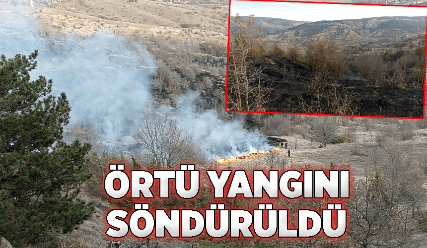 Karabük'te çıkan örtü yangını söndürüldü