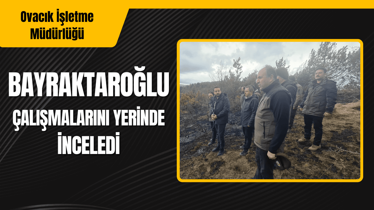 Genel Müdür Ormancılık Çalışmalarını Yerinde İnceledi