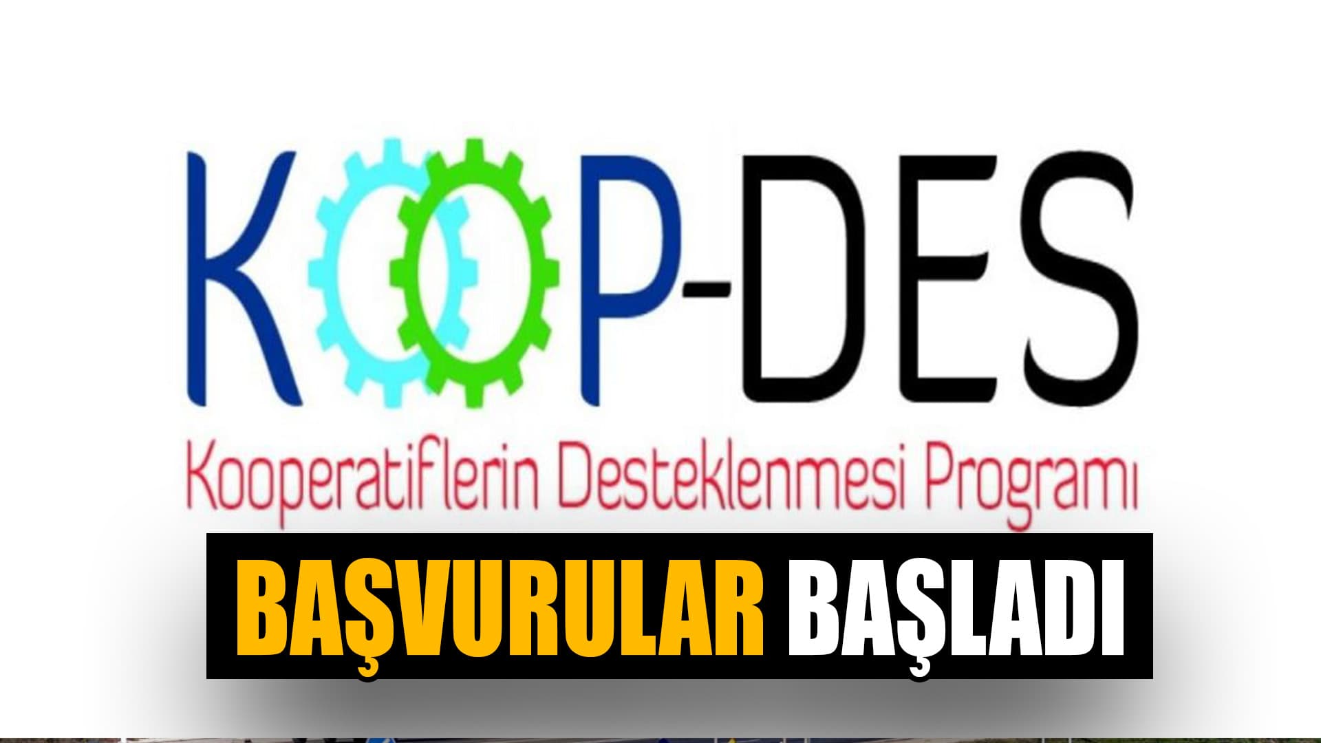 2024 Yılı Kooperatiflerin Desteklenmesi Programı Başvurular Başladı