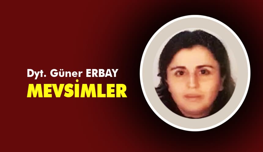 MEVSİMLER