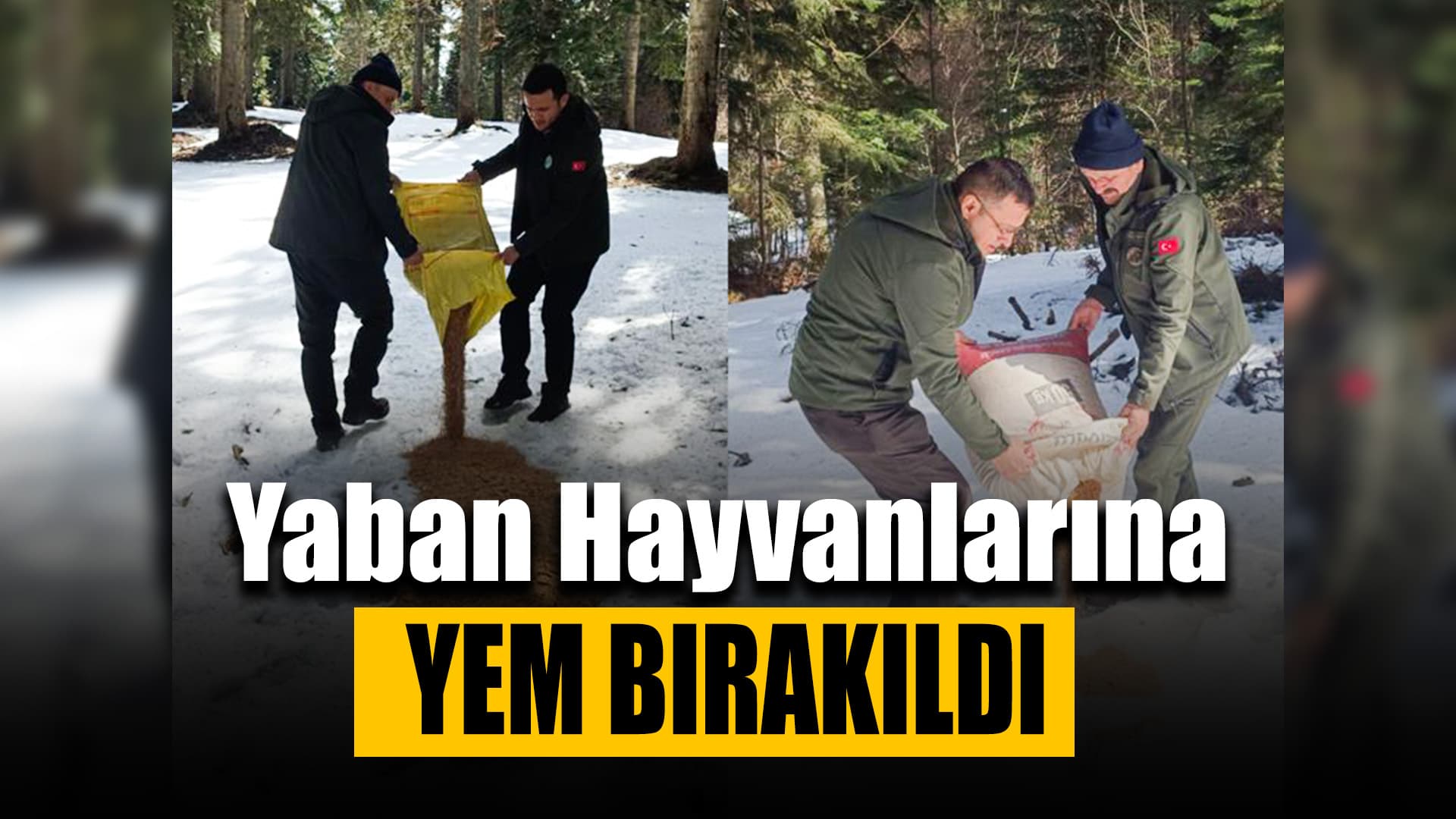 Karabük'te Beslenme Zorluk Çeken Hayvanlara Yem Bırakıldı
