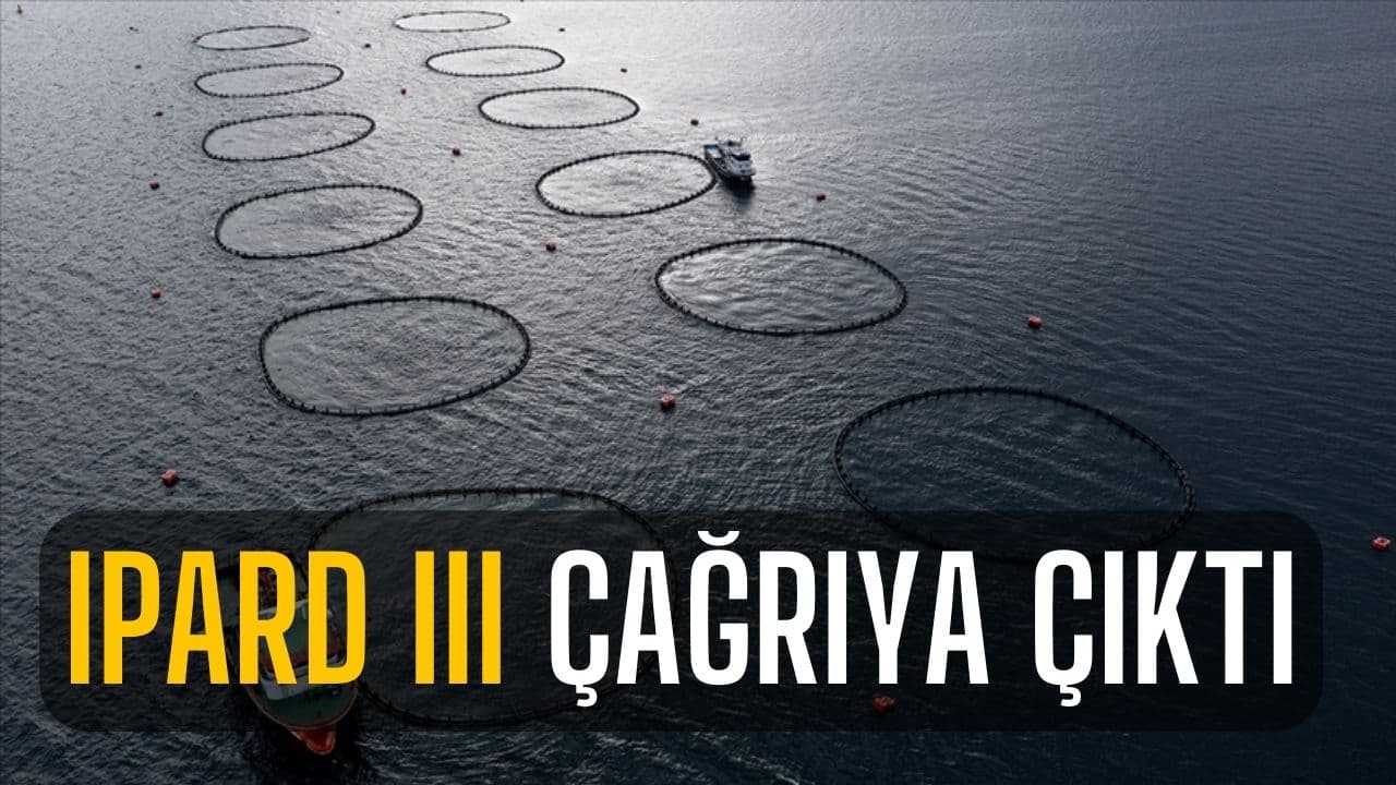 IPARD III kapsamında ilk çağrıya tarım ve balıkçılık ürünleri için çıkıldı