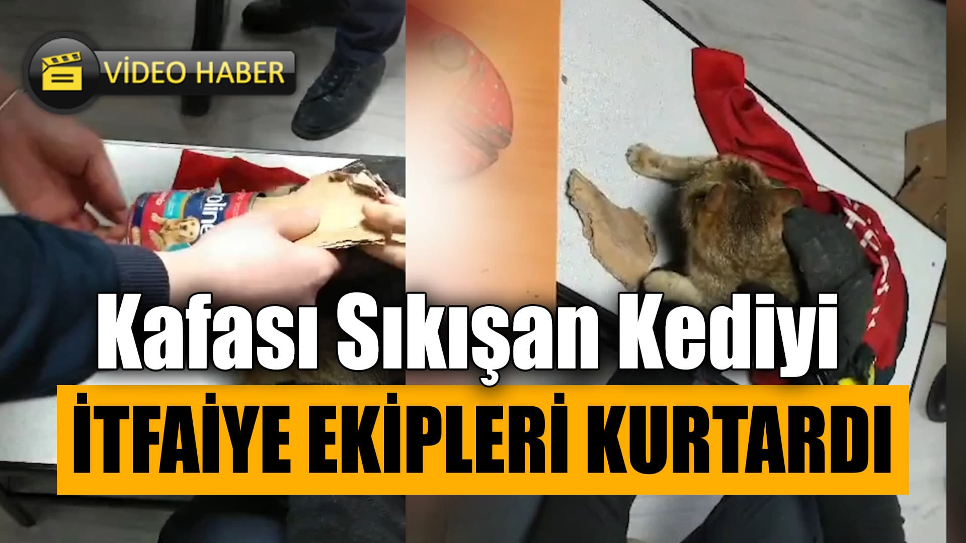 Karabük'te Kafası Mama Kutusuna Sıkışan Kediyi İtfaiye Kurtardı