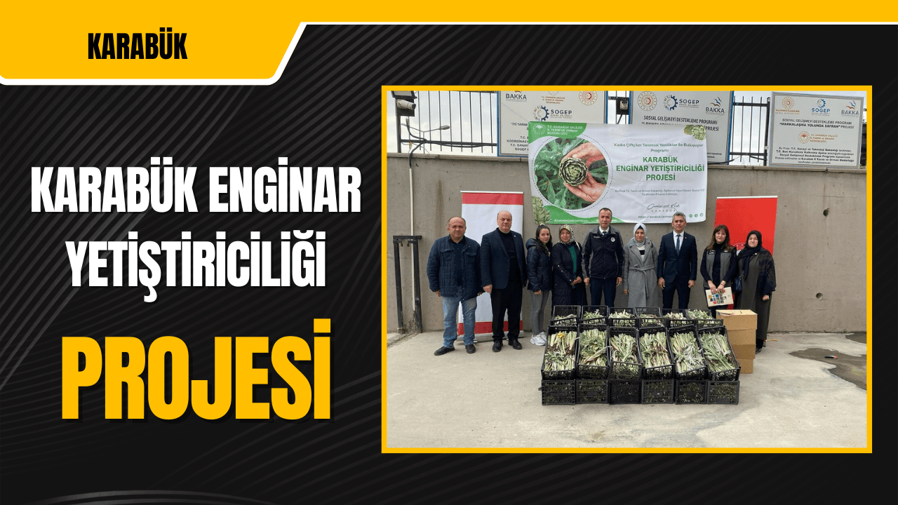 "Karabük Enginar Yetiştiriciliği" Projesi Hayata Geçirildi