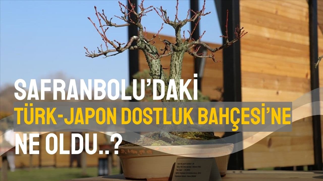 Türkiye'nin ilk "Bonsai Müzesi" Yalova'da açıldı, peki Karabük'teki dostluk bahçesine ne oldu?