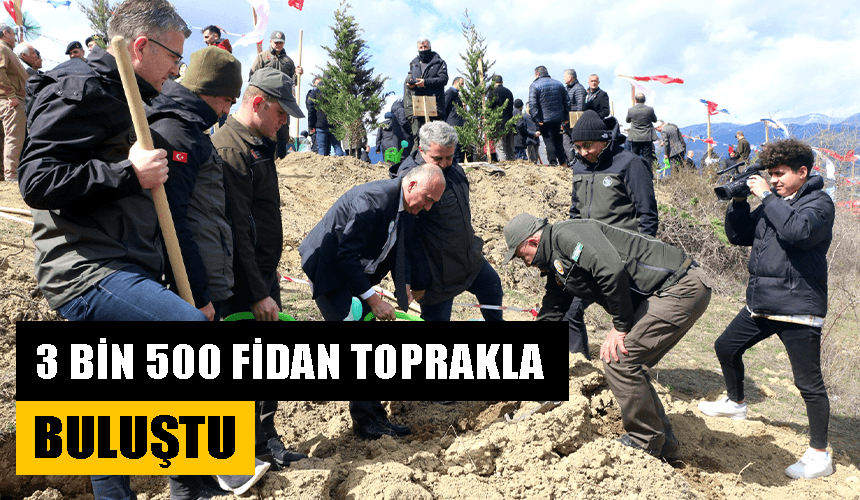 Karabük'te 3 bin 500 fidan toprakla buluşturuldu