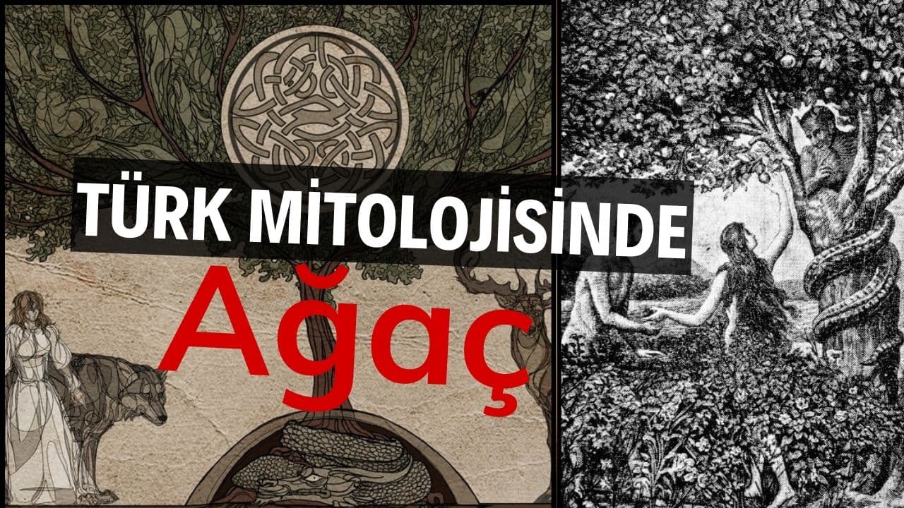 Türk Mitolojisinde Ağaç: İnsanın doğayla kurduğu kutsal bağ