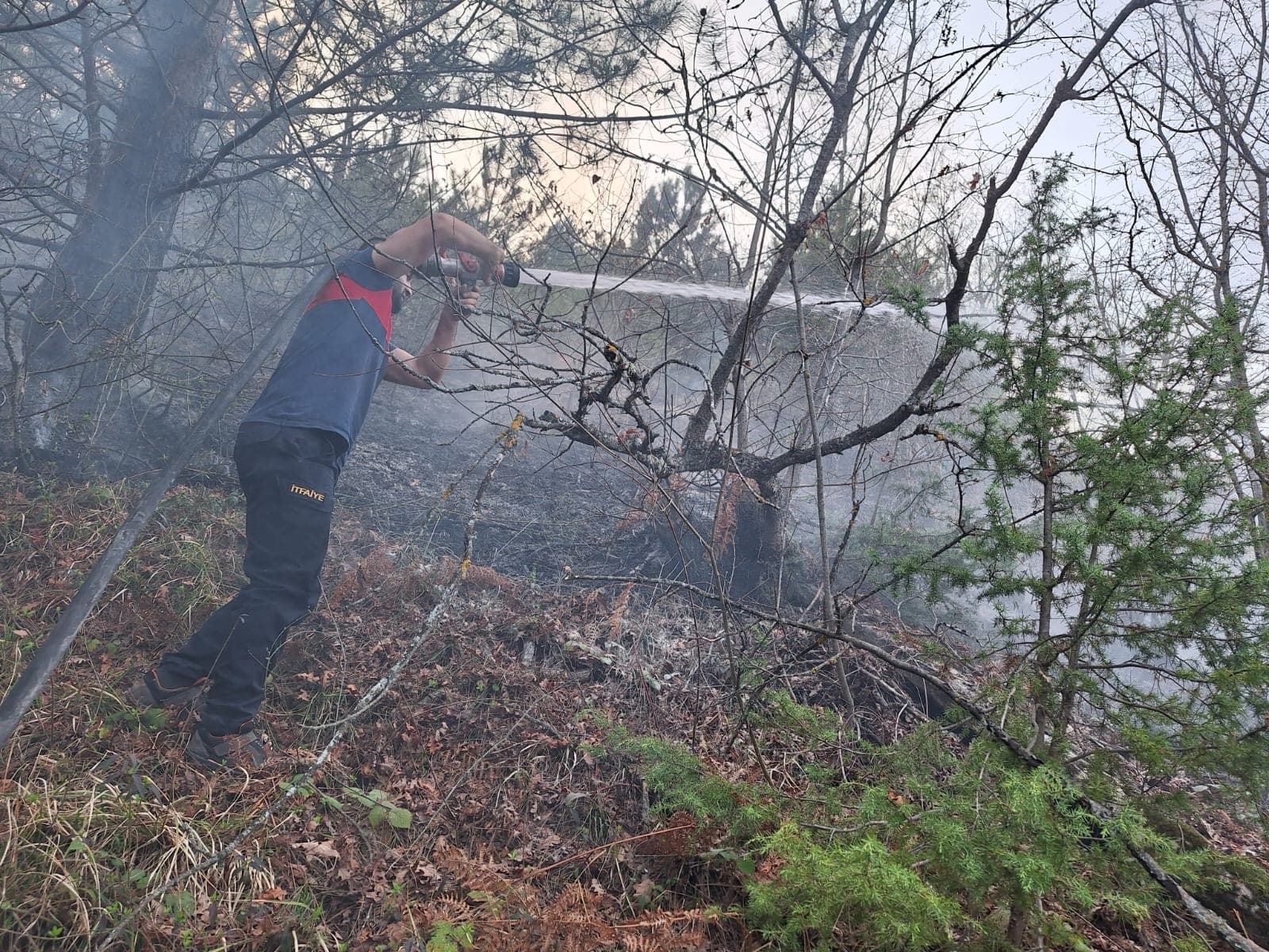 Sinop'un Gerze ilçesinde çıkan örtü yangını söndürüldü