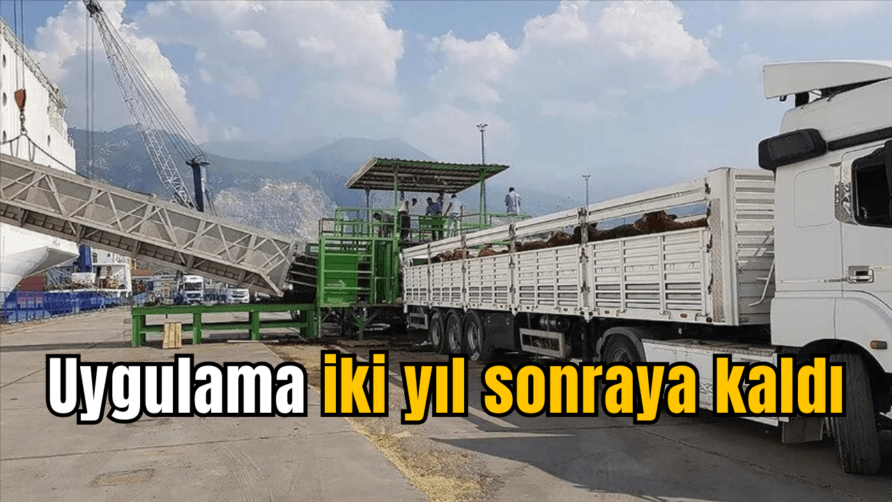Canlı hayvan ithalatında kullanılacak sağlık sertifikalarına ilişkin düzenlemenin uygulaması ertelendi