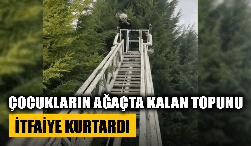 Çocukların ağaçta kalan topu itfaiyenin yardımıyla indirildi