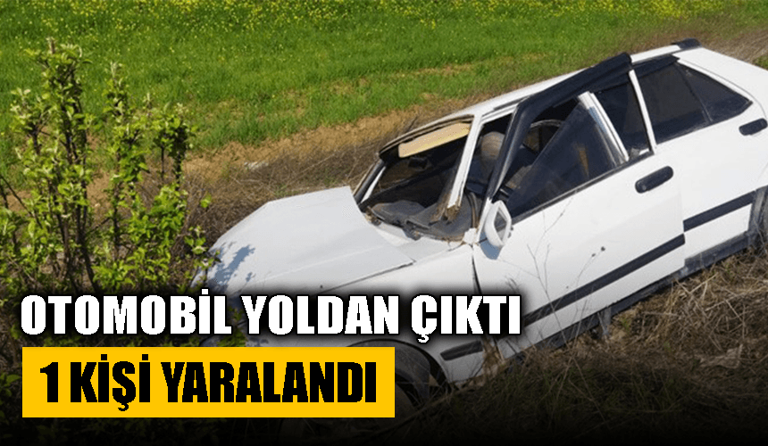 Karabük'te kontrolden çıkarak tarlaya giren otomobildeki 2 kişi yaralandı
