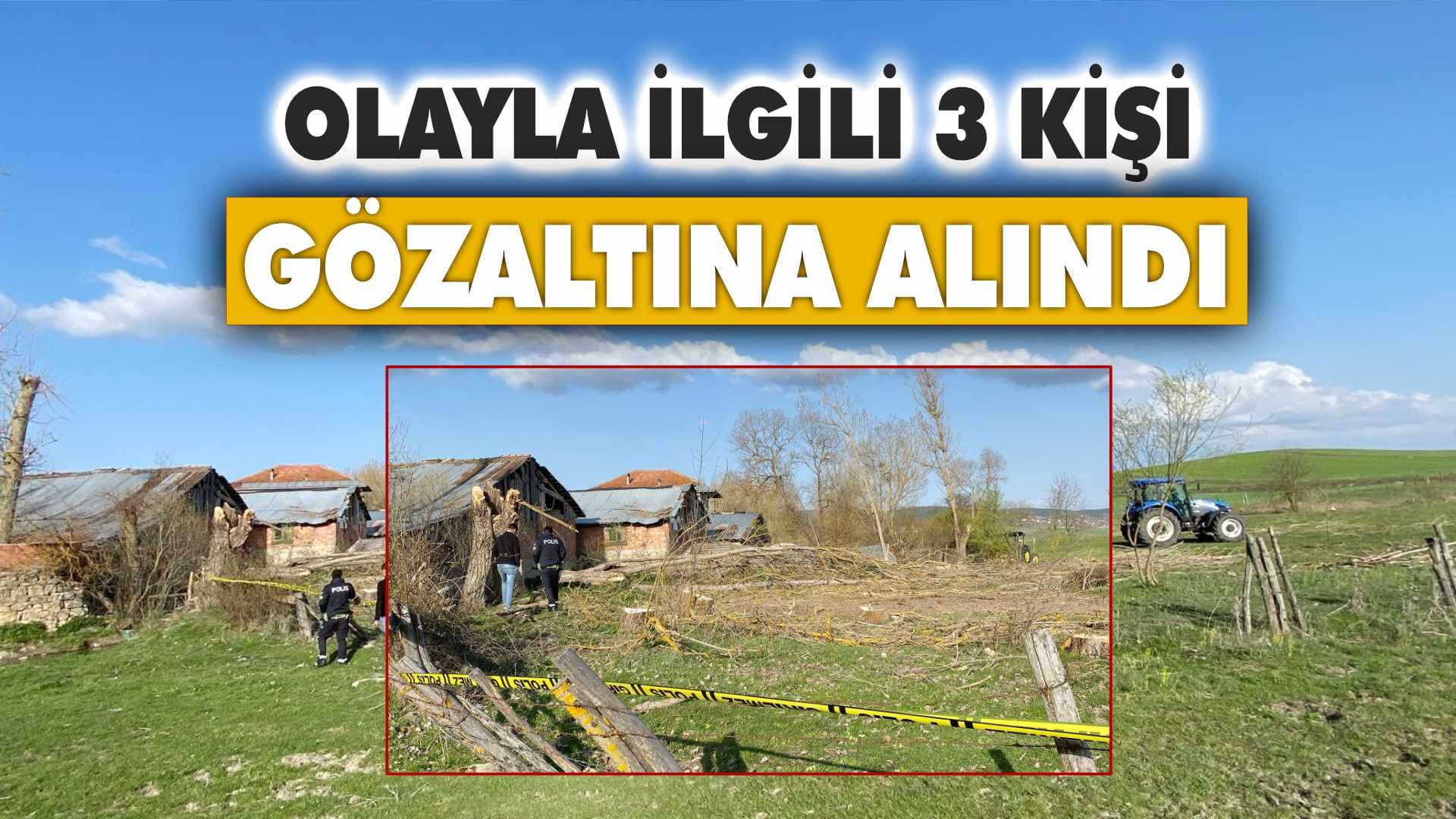 Eflani'de kestiği ağacın altında kalan genç öldü