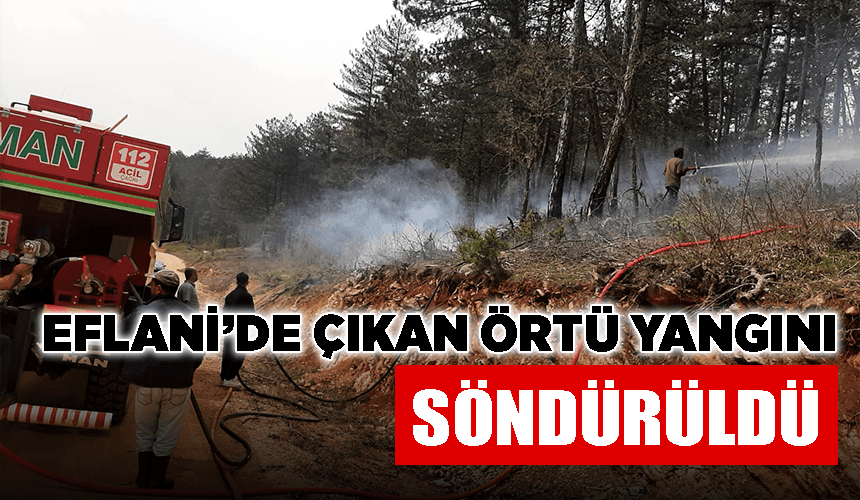 Eflani ilçesinde çıkan örtü yangını söndürüldü
