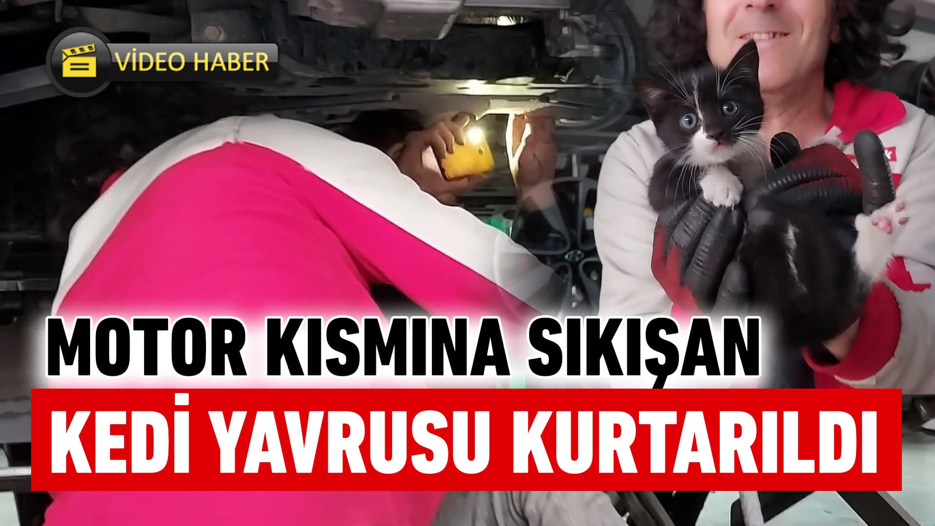 Karabük'te otomobilin motor kısmına sıkışan kedi yavrusu kurtarıldı