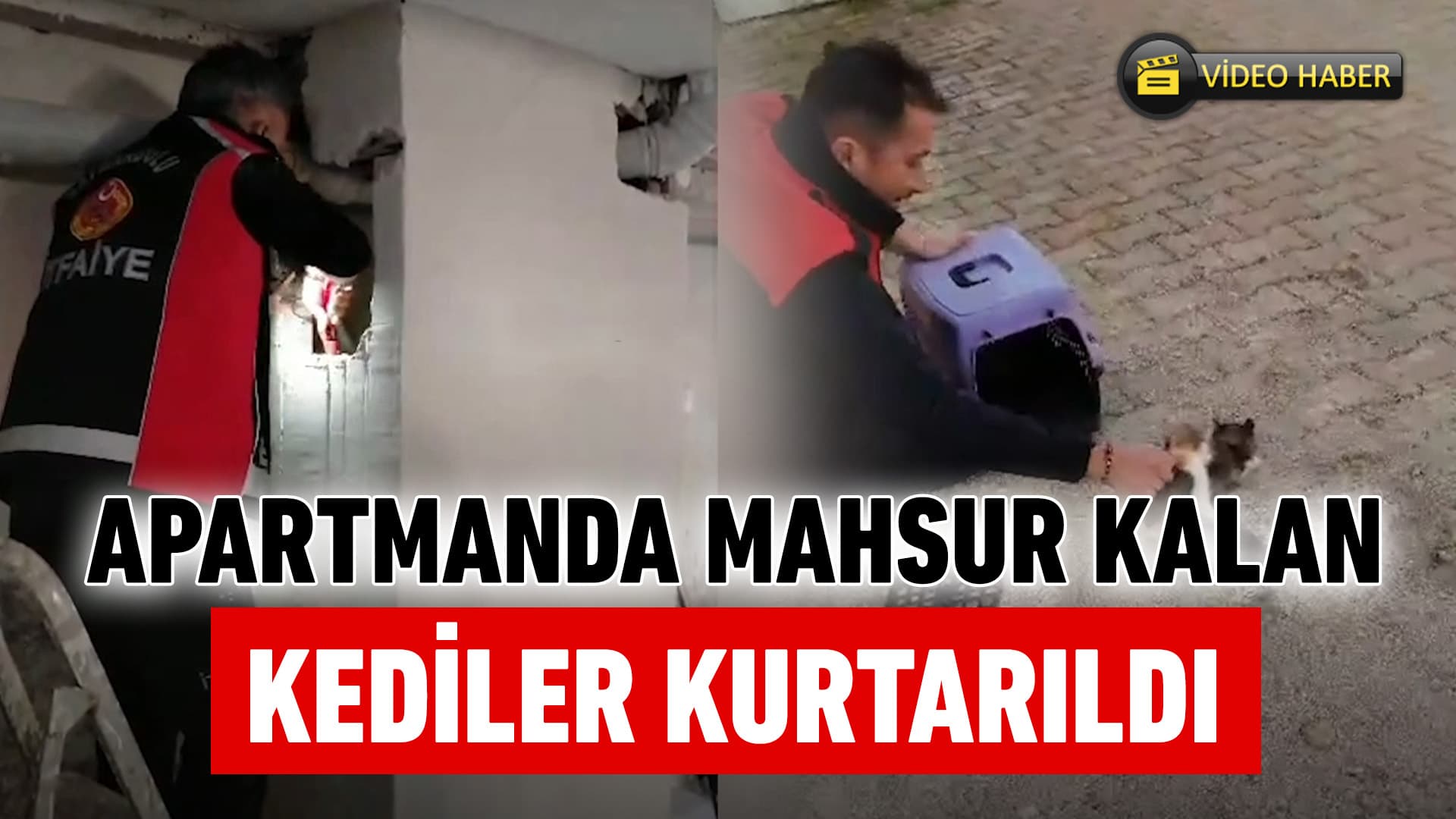 Safranbolu'da apartman boşluğunda mahsur kalan 5 kedi kurtarıldı