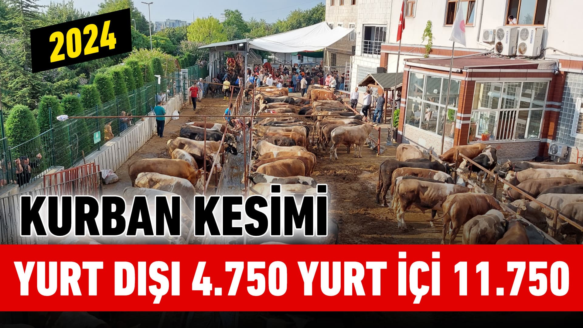 Kurban Kesim Bedeli Belli Oldu: Yurt İçi 11.750 TL, Yurt Dışı 4.750 TL