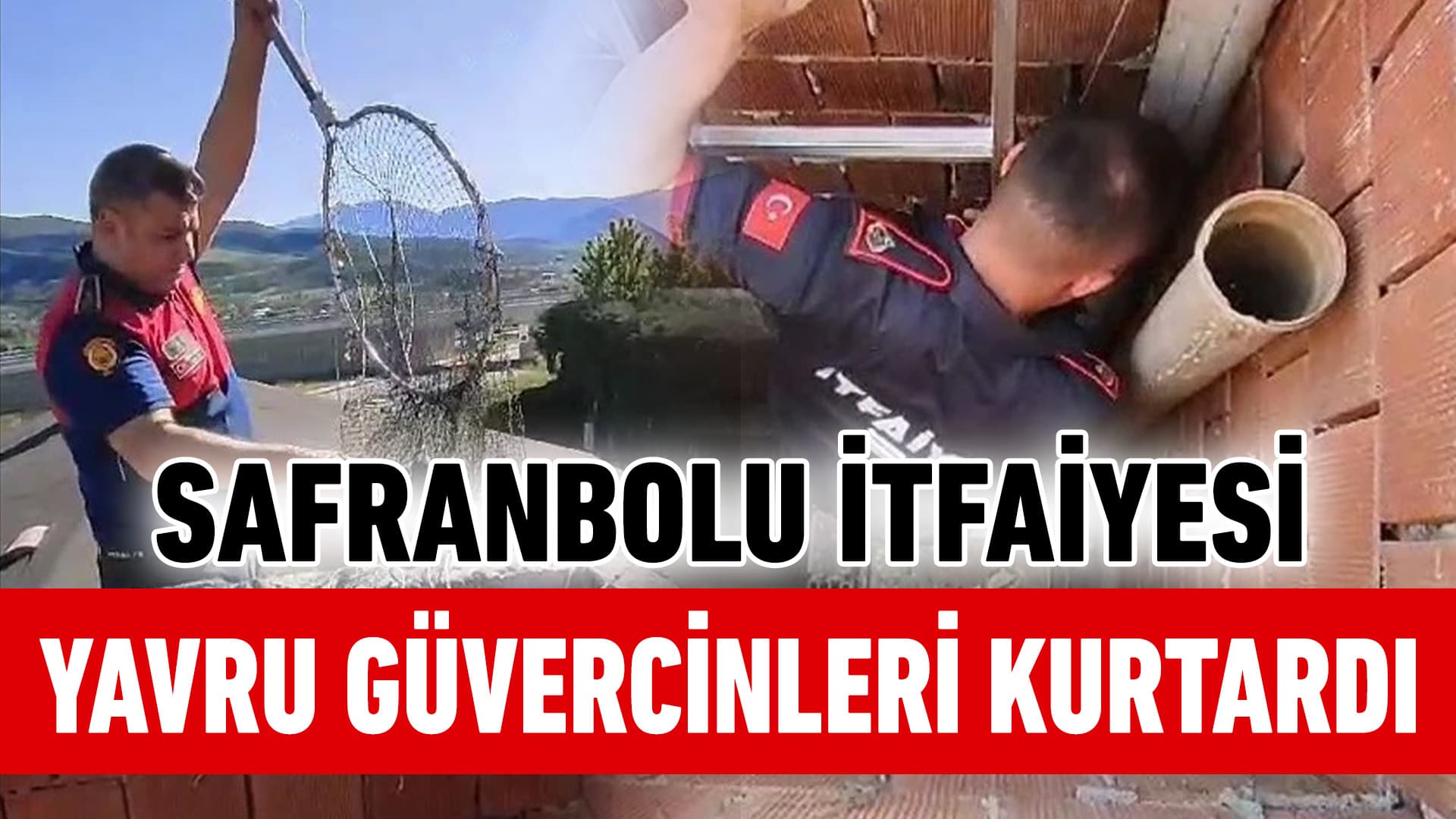 Safranbolu İtfaiyesi, Mahsur Kalmış Yavru Güvercinleri Kurtardı