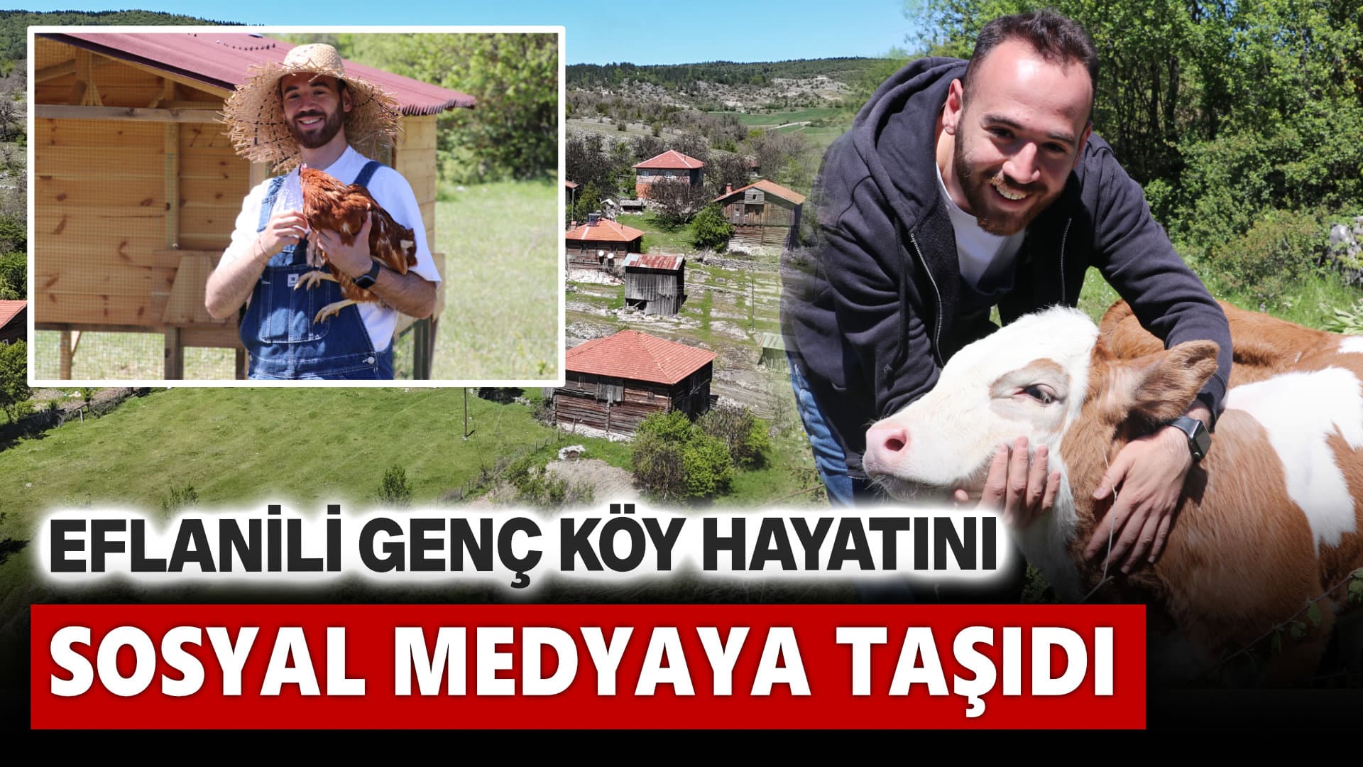 Metropoldeki Stresli Hayattan Kaçan Genç, Eflani'de Tarım ve Hayvancılıkla Uğraşıyor