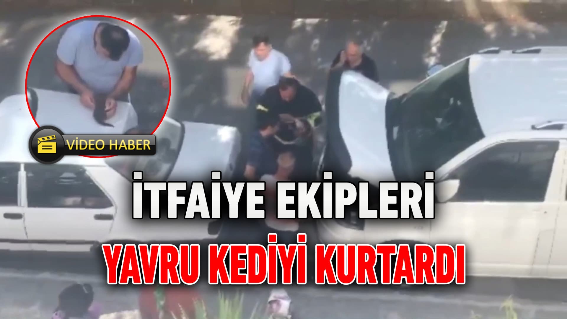 Karabük'te panelvanın motor kısmına sıkışan kedi yavrusu kurtarıldı