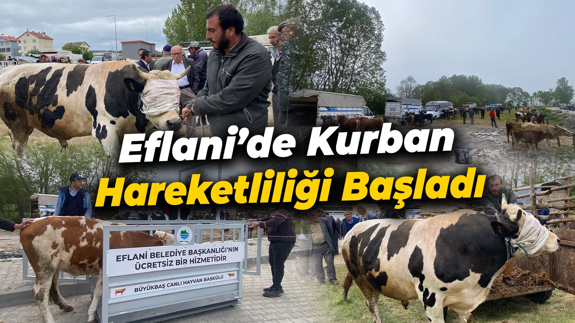 Eflani'de kurban pazarlarında hareketlilik yaşanıyor