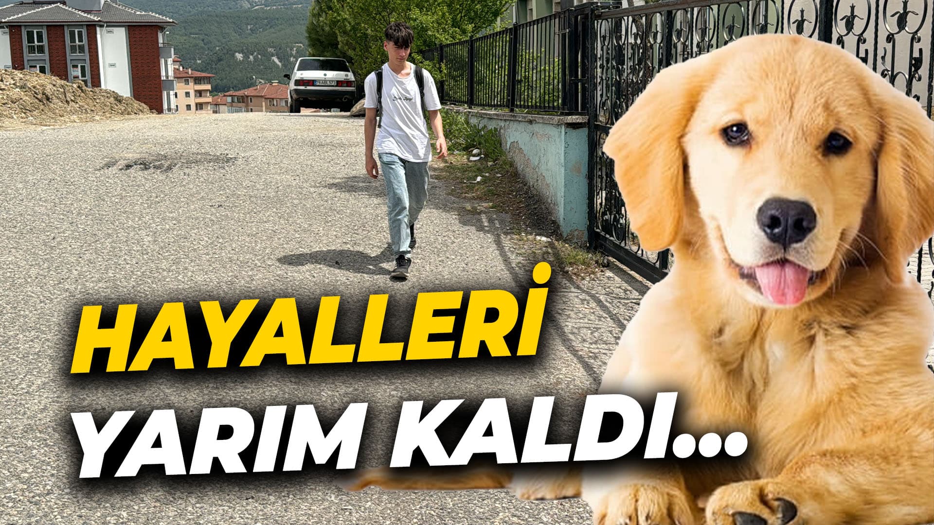 Karabük'te Köpek Saldırısı Genç Çocuğun Hayalini Yıktı