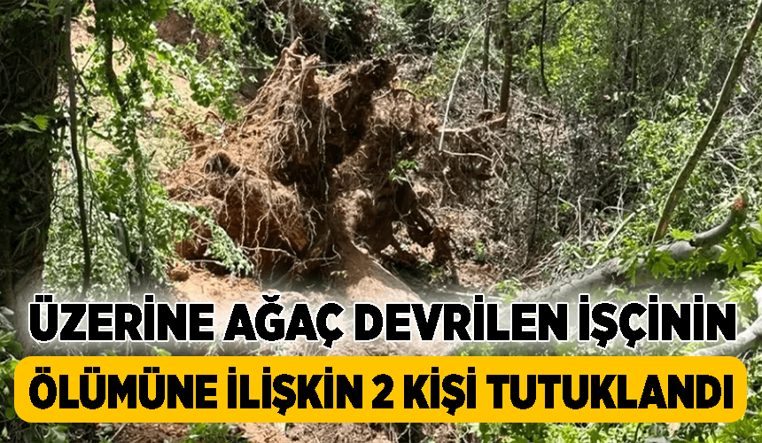 Karabük'te üzerine ağaç devrilen işçinin ölümüne ilişkin 2 kişi tutuklandı