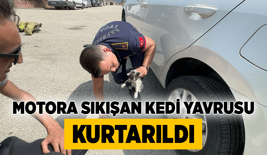Karabük'te otomobilin motor kısmına sıkışan kedi yavrusu kurtarıldı