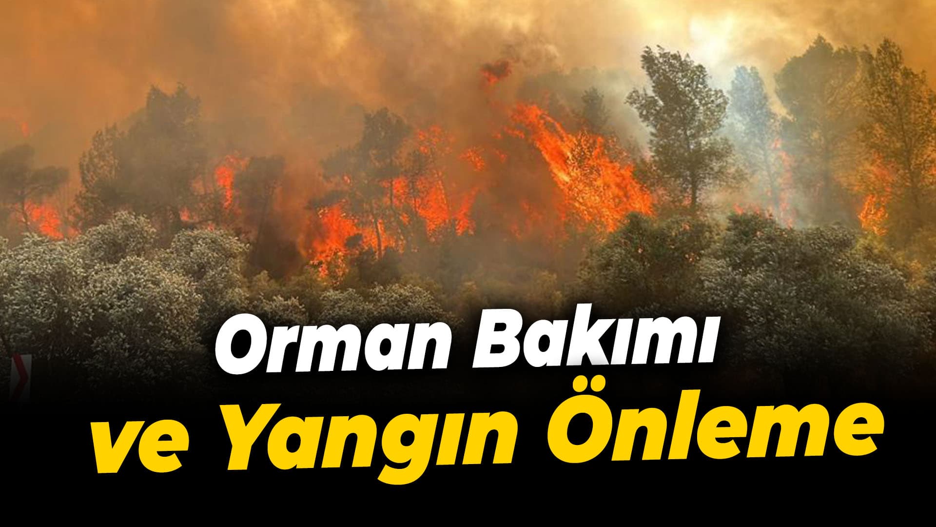 Karabük'te Yangın Önlemleri ve Orman Bakımı Vurgusu