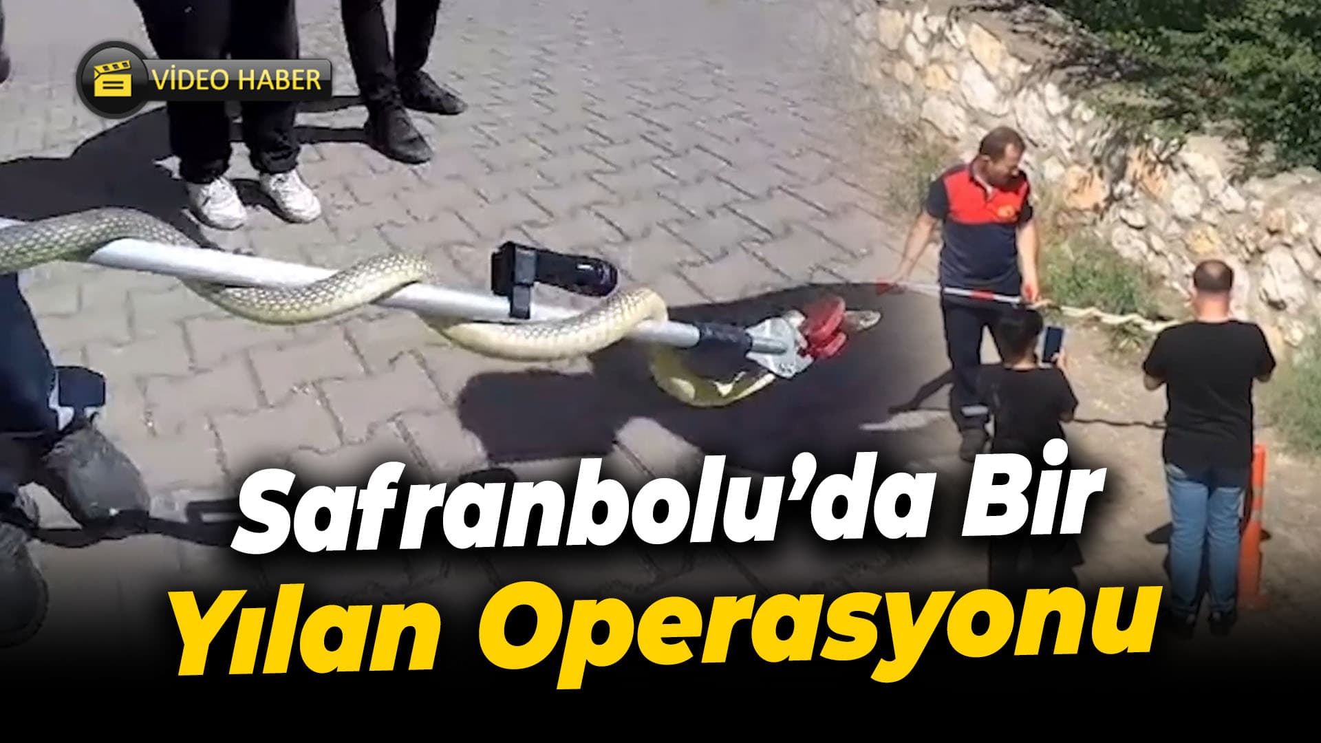 Safranbolu'da aracın motor bölümüne giren yılanı itfaiye çıkardı