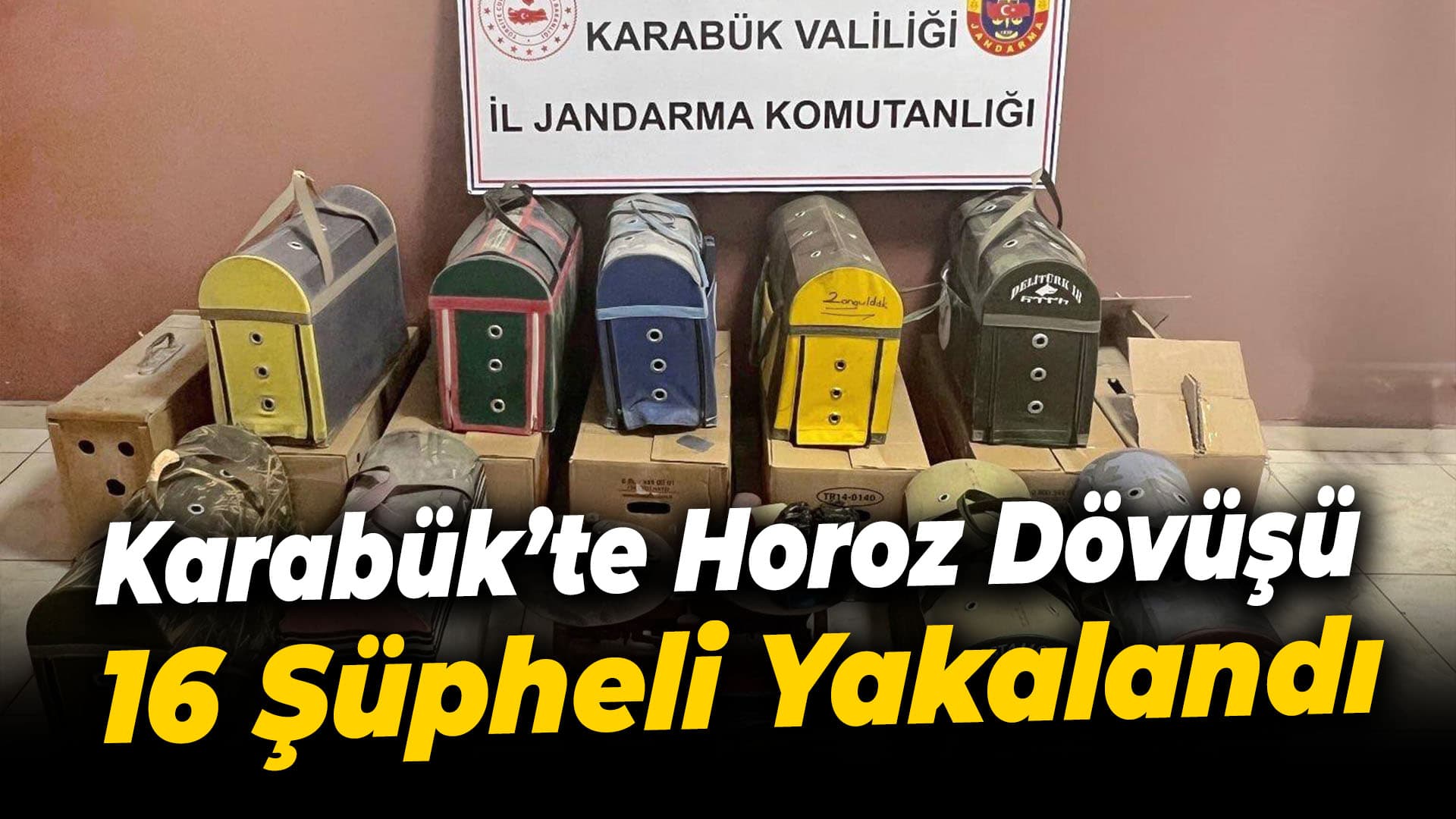 Karabük'te horoz dövüştürdükleri iddiasıyla 16 şüpheli yakalandı
