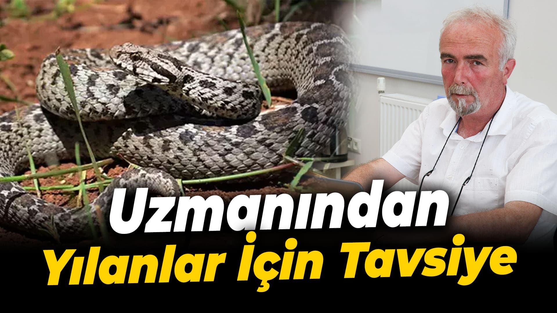 Uzmanından Yılanları Uzaklaştırma Tavsiyesi