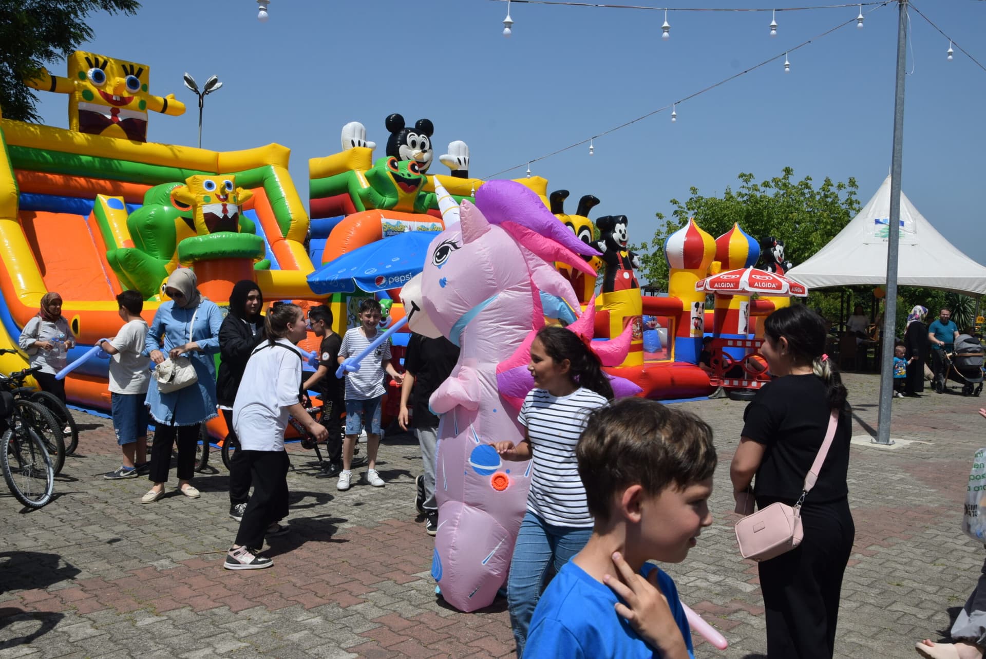 Espiye'de Karne Şenliği düzenlendi