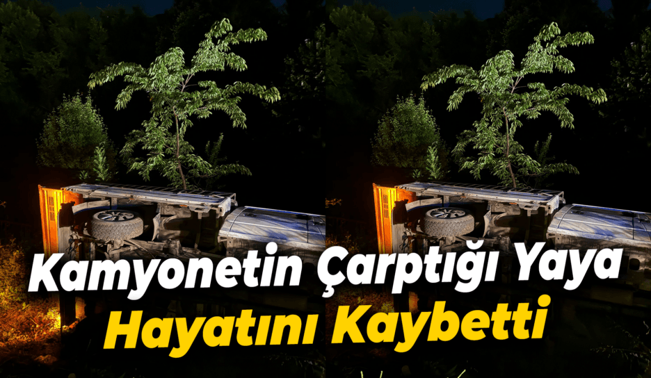 Kamyonetin çarptığı yaya hayatını kaybetti
