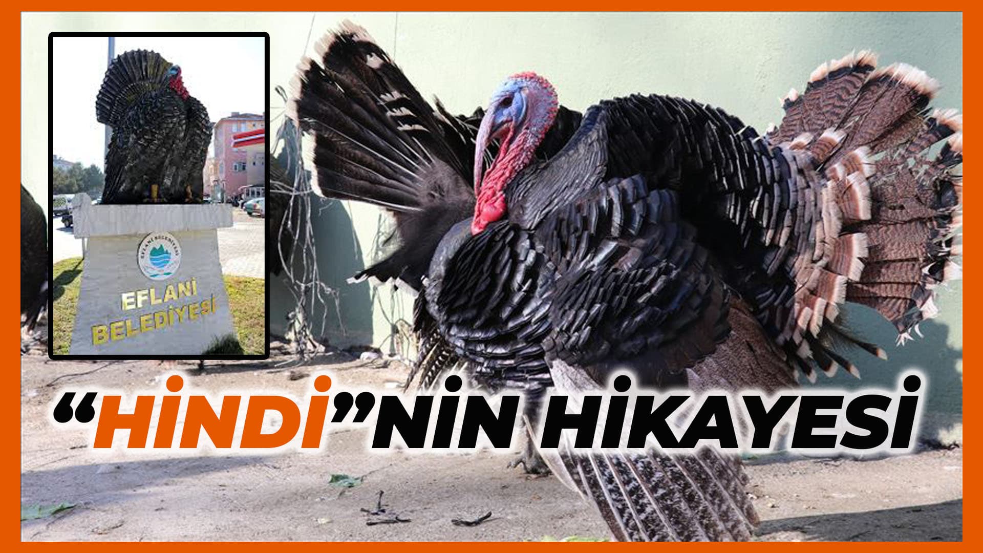 Hindi Hakkında Bilinmeyen Gerçekler...