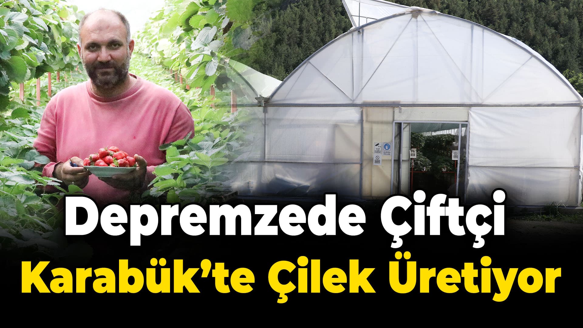 Gaziantep'ten Karabük'e yerleşen depremzede çiftçi, topraksız tarımla çilek üretiyor