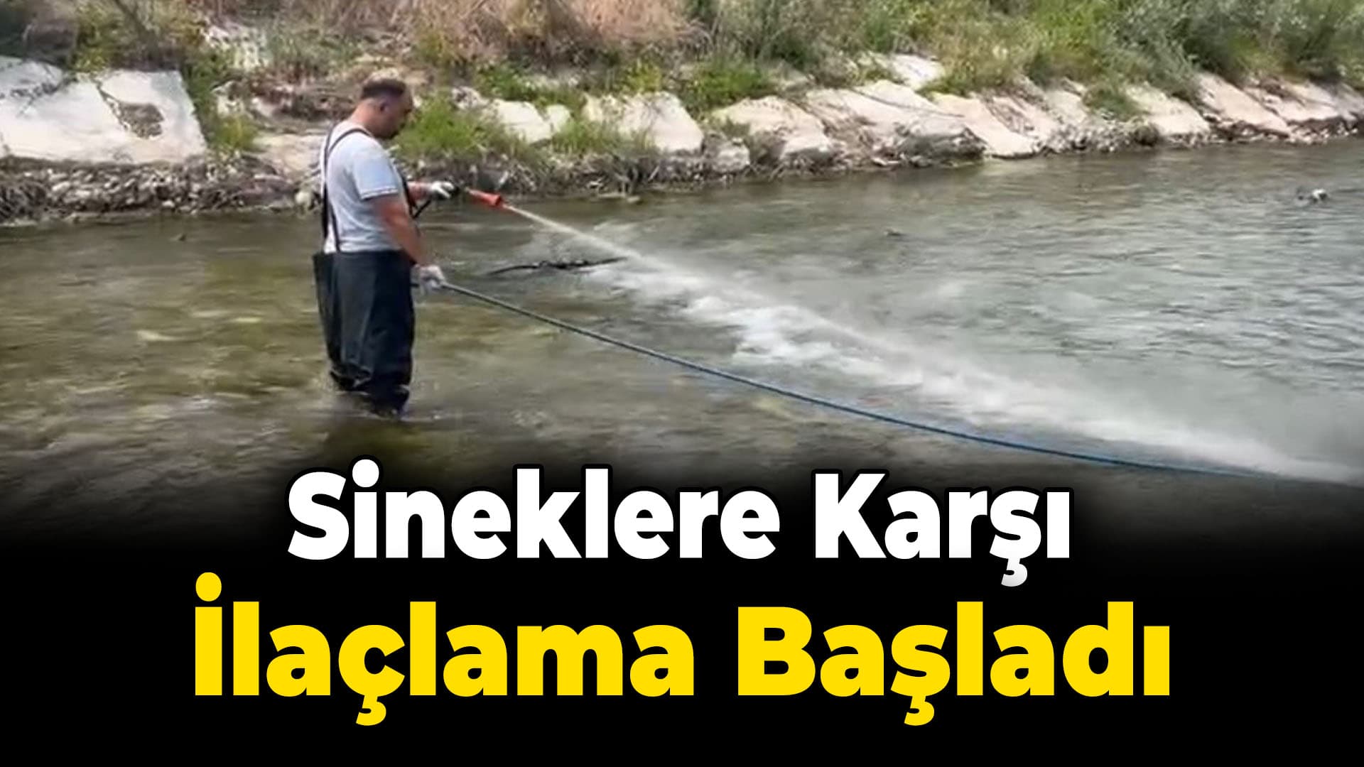 Sinek ve larvalara karşı ilaçlama yapılıyor