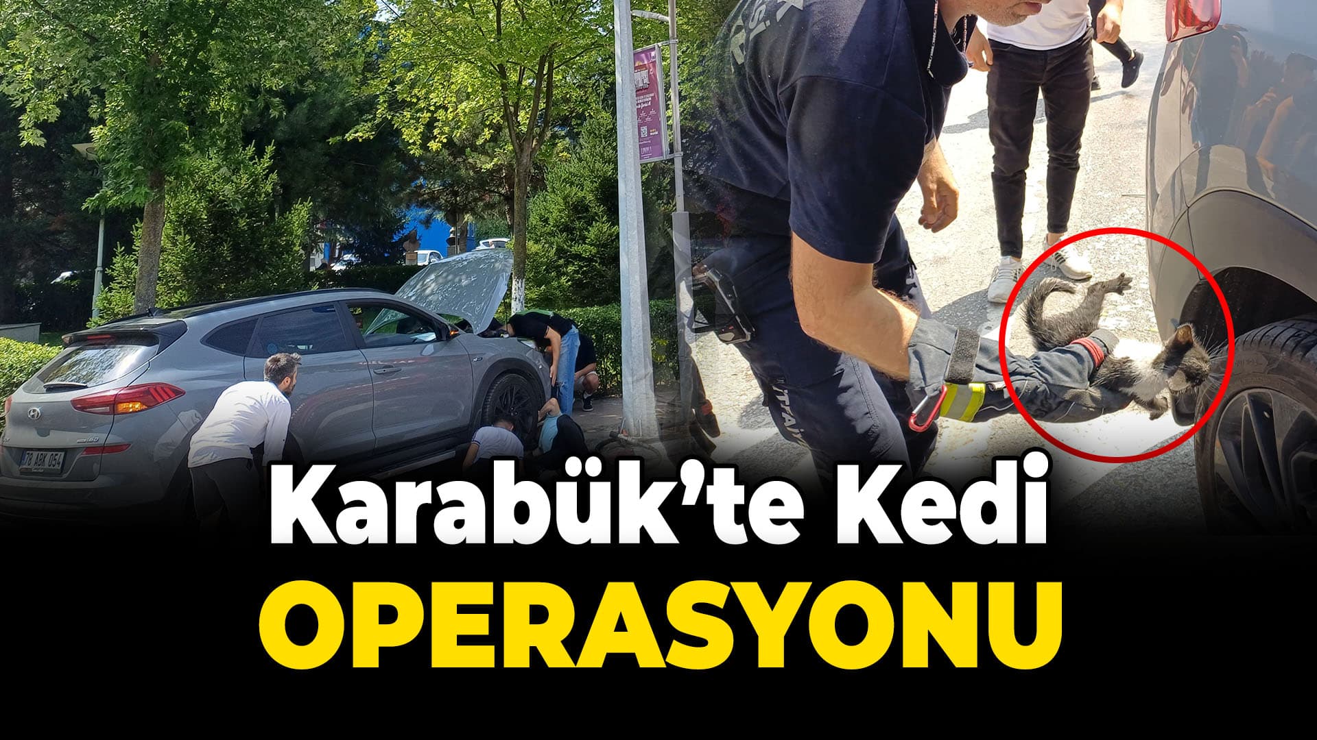 Karabük'te otomobilin alt kısmına giren kedi yavrusu kurtarıldı