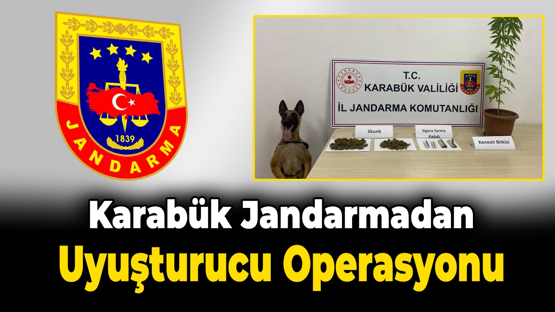 Jandarmadan uyuşturucu operasyonu
