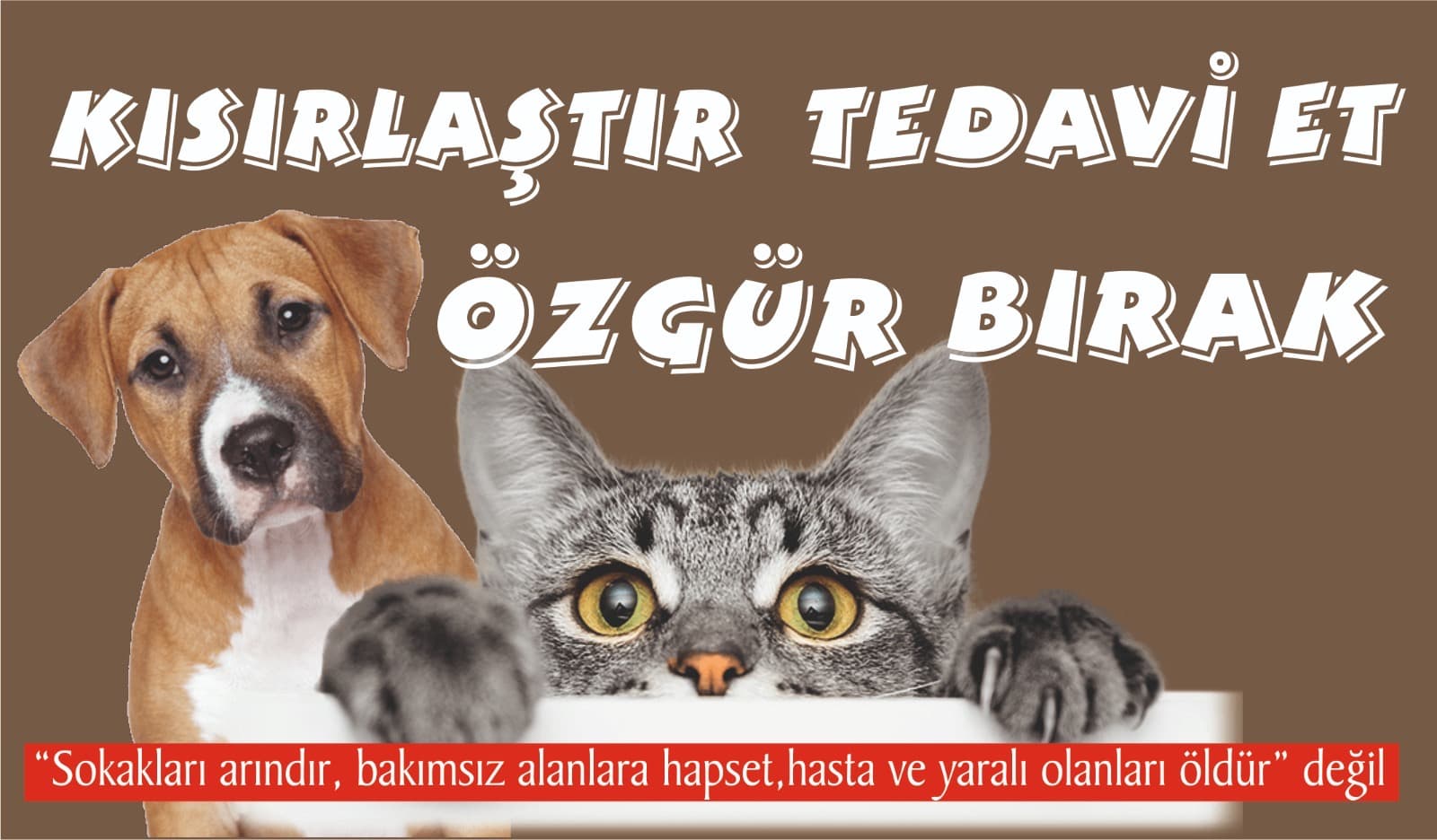 Kısırlaştır tedavi et özgür bırak