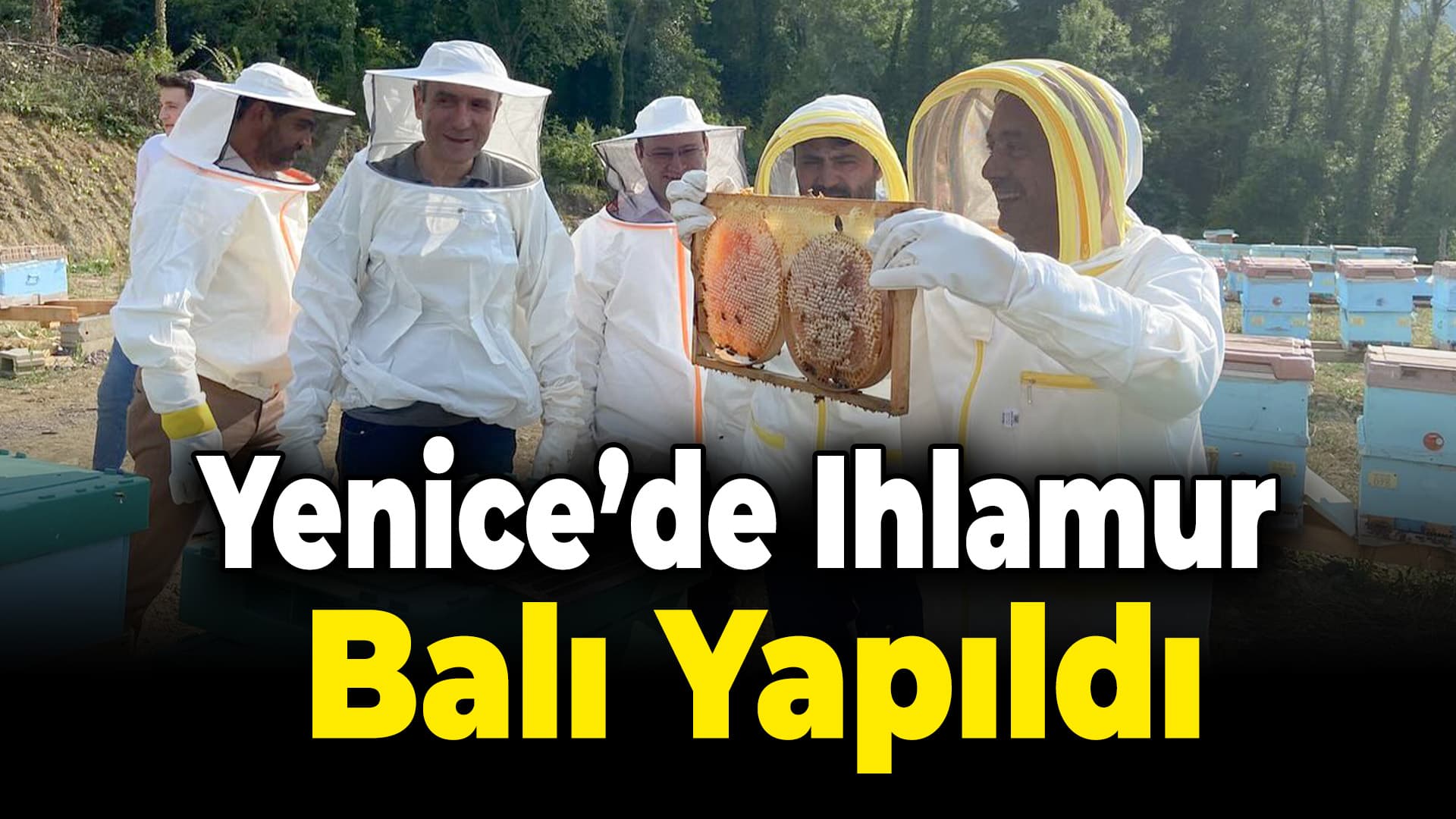 Yenice Ihlamur Balı Yapıldı