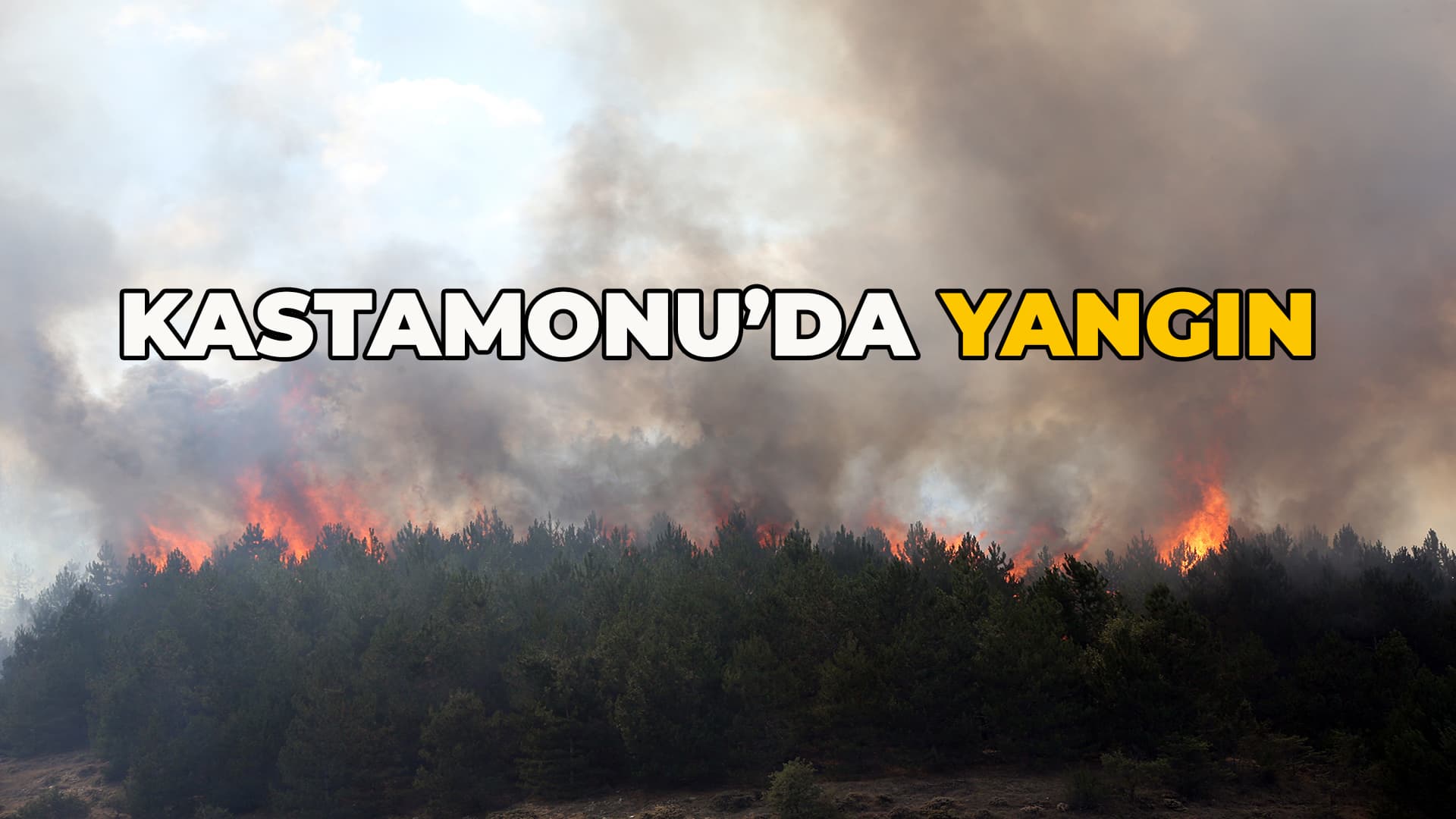 Kastamonu'da orman yangını