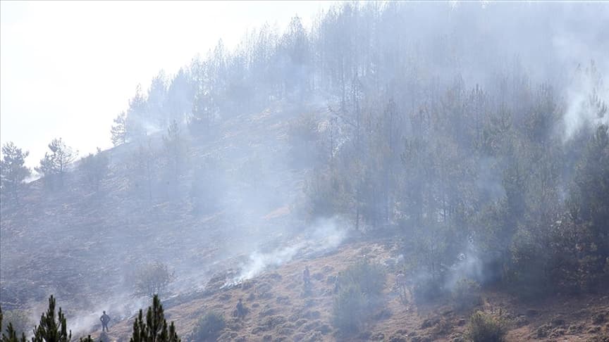 Kastamonu'da 8 Hektar Alan Yandı