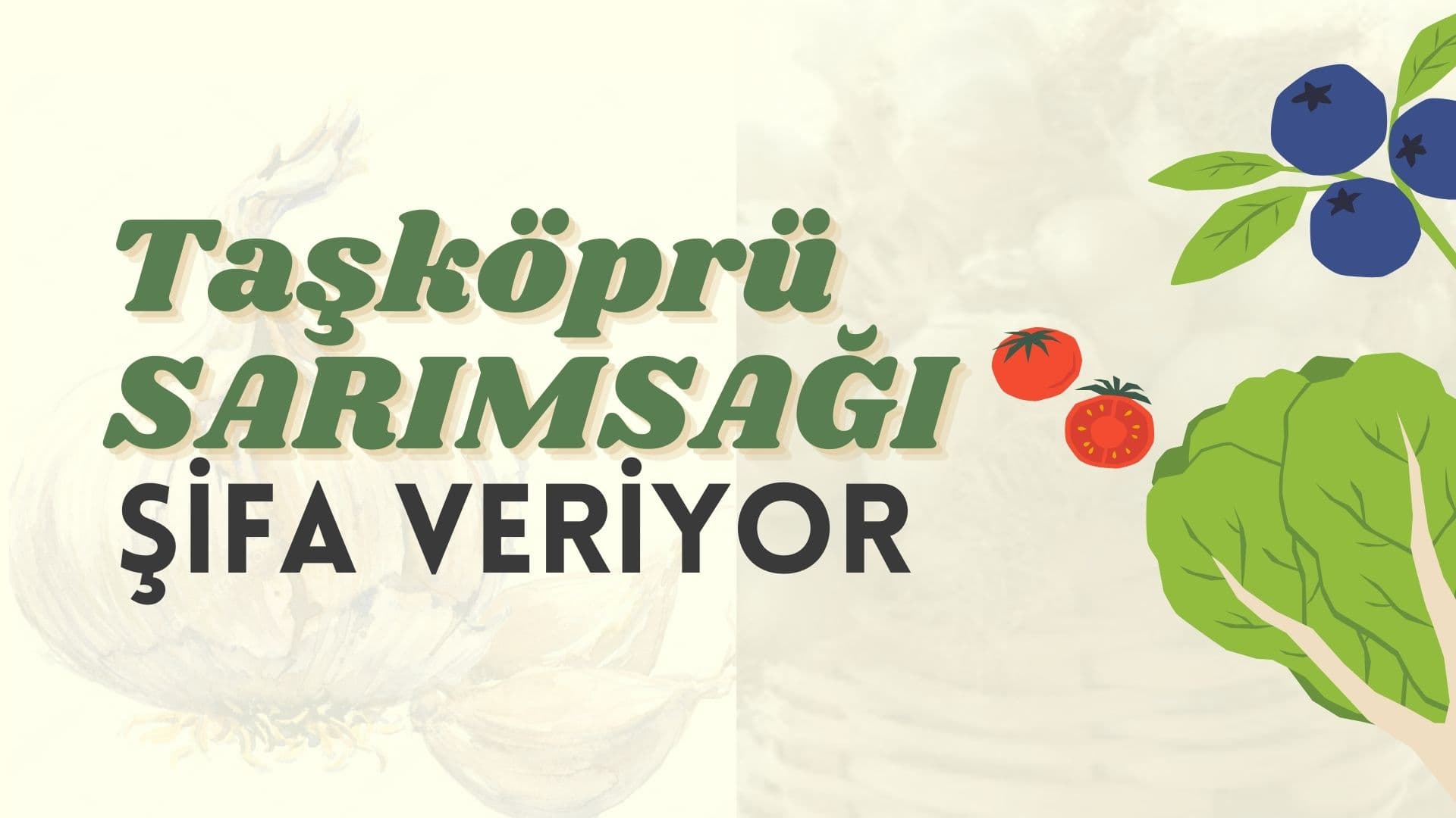 Dünyanın En İyi Sarımsağı Taşköprü'de!