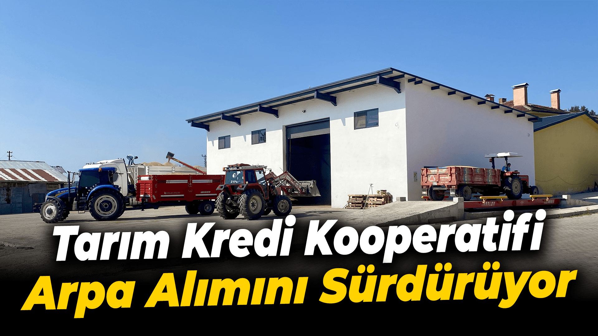 Tarım Kredi Kooperatifi, Eflani'de arpa alımını sürdürüyor